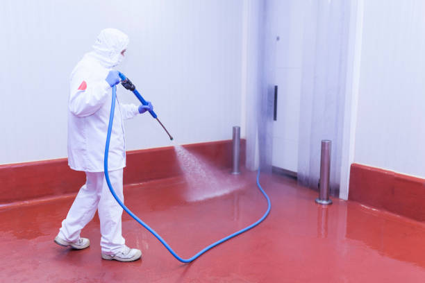 Best Patio and Deck Pressure Washing  in Fulton, NY